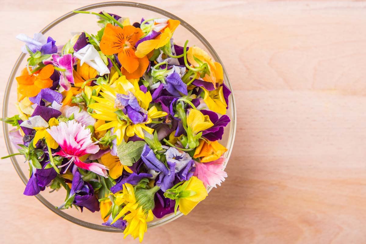 Taste the Rainbow: Colorful Edible Flowers for Vibrant Dishes