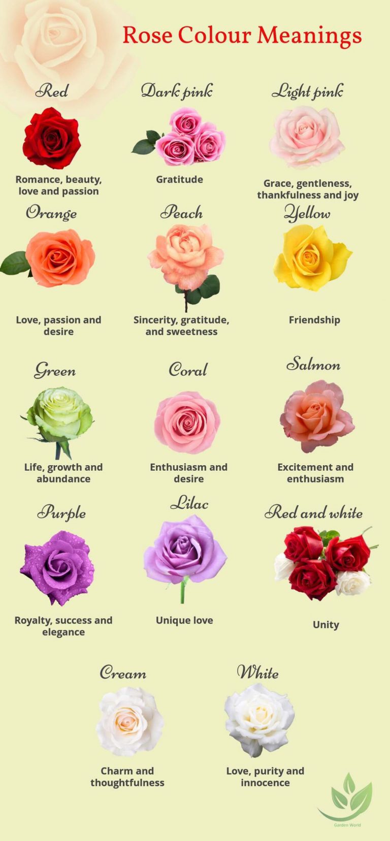 Rose Colour Meanings - Botany-World