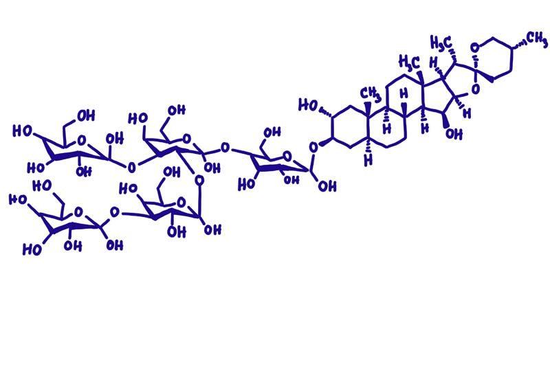 Saponins