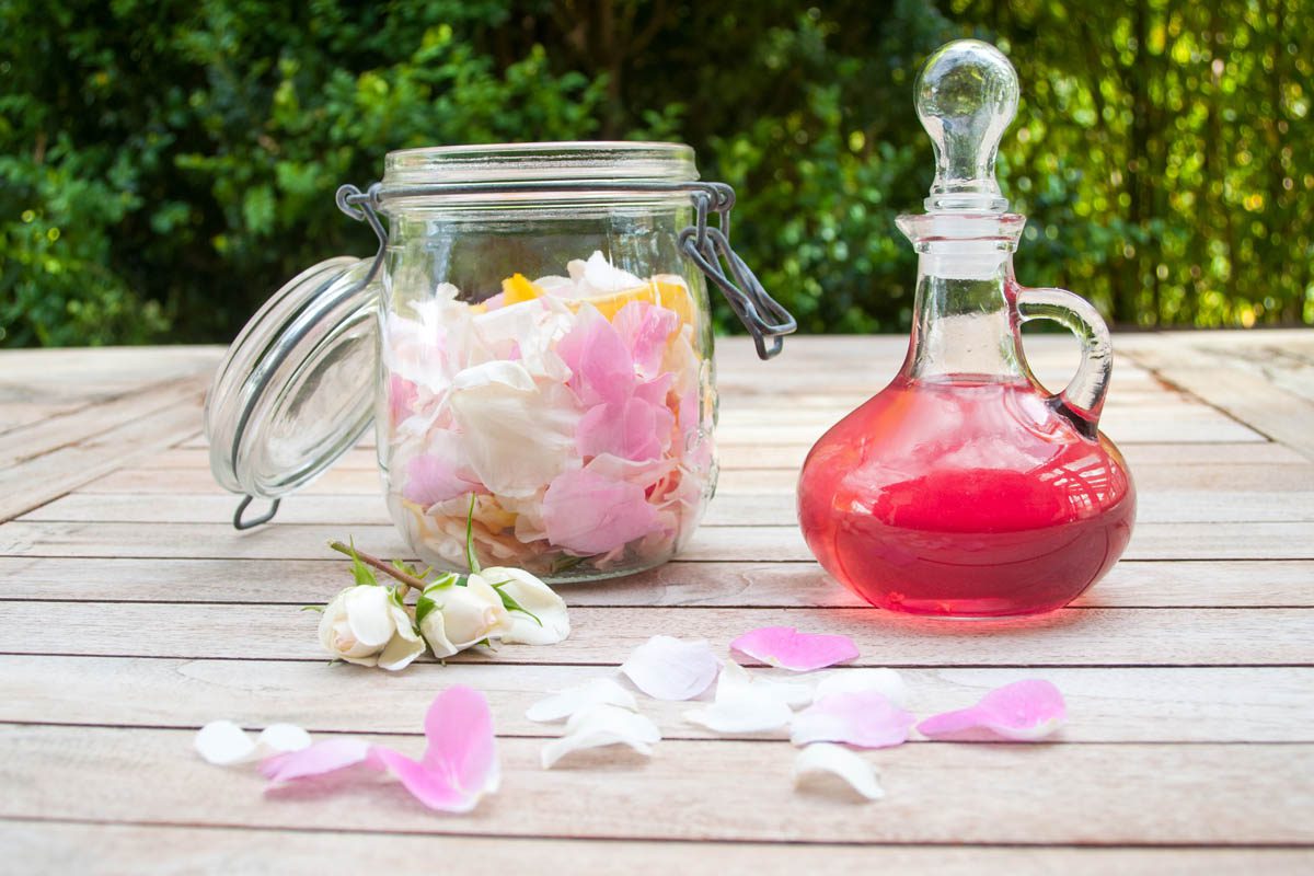 Easy Rose Syrup Recipe