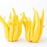 Buddha's Hand Citrus: A Unique and Exotic Fruit