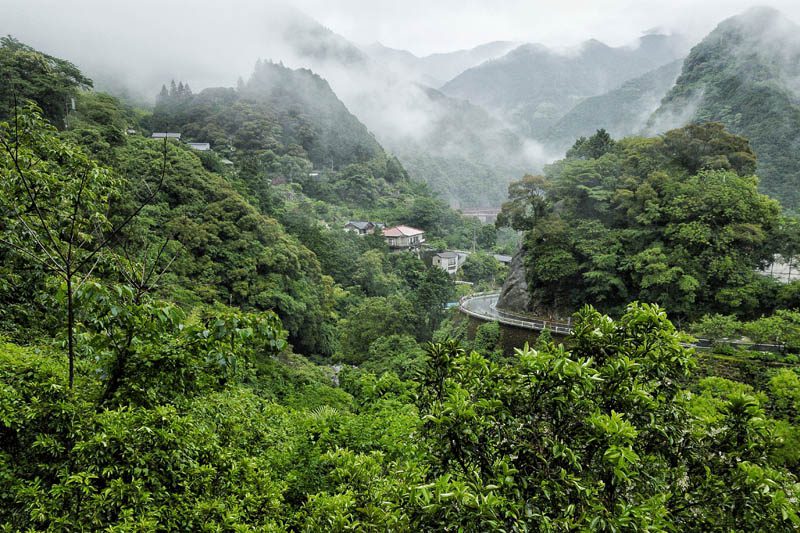 Kochi prefecture