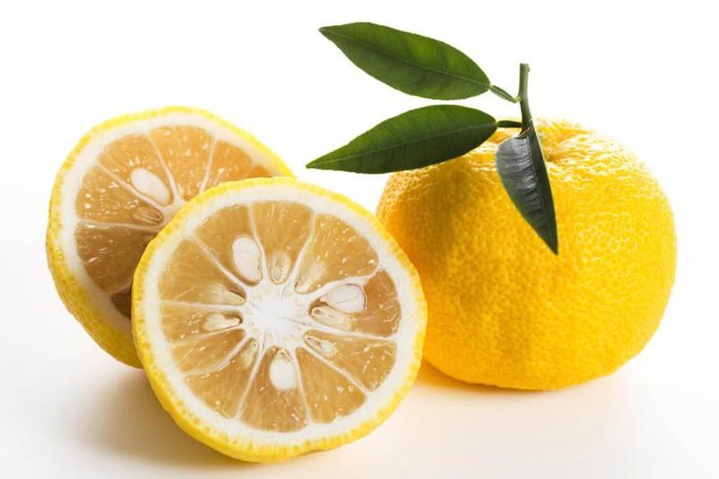 What does yuzu look like? 