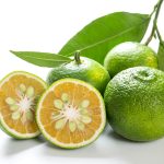 Sudachi: The Japanese Citrus You Need to Try