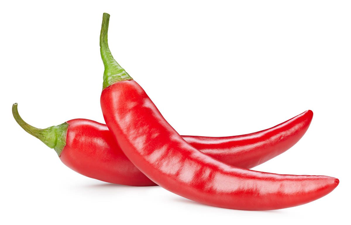 Why do chillies produce capsaicin?