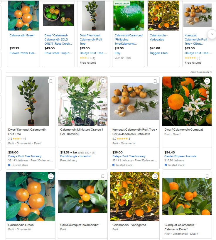 Kumquat calamondin