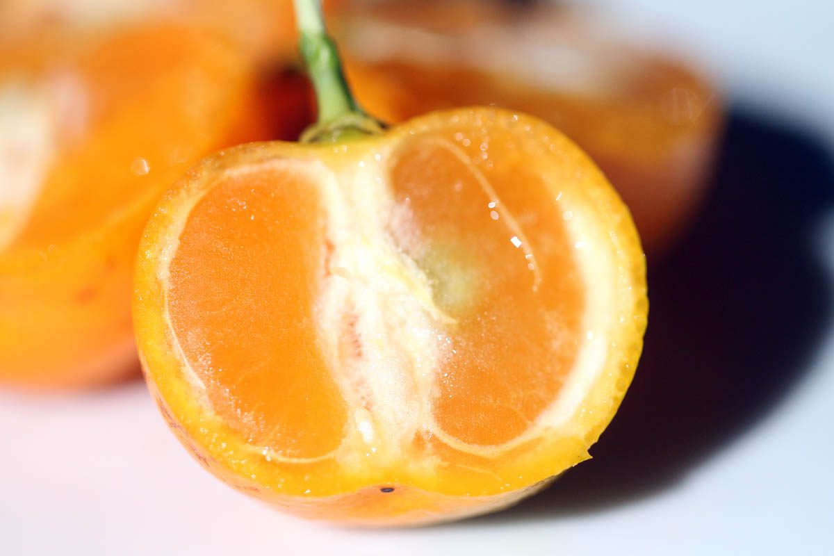 Sliced calamondin